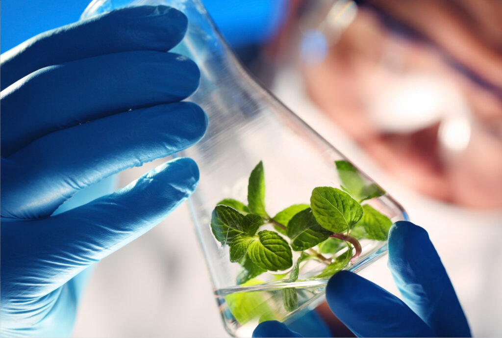 BA&R BIOTECH APPLIED & RESEARCH Ι.Κ.Ε. BA&R BIOTECH APPLIED & RESEARCH Ι.Κ.Ε.